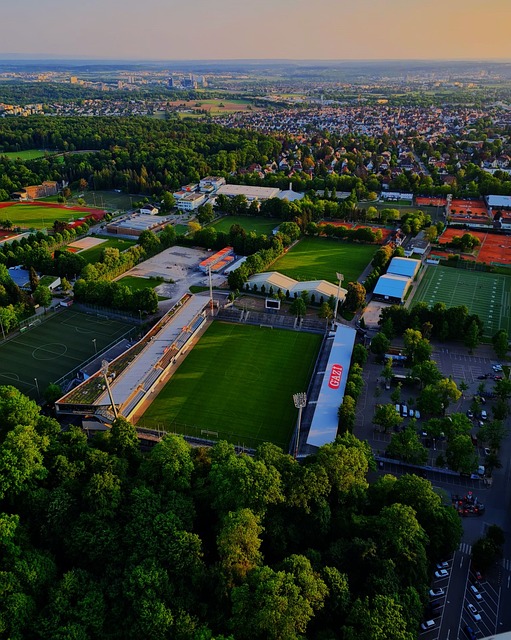 认为她既是 认为她既是