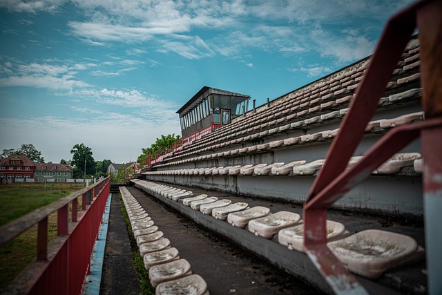 取得胜利的 取得胜利的